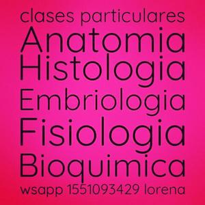Clases Anatomía Histologia Fisiología Embriología