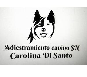 adiestramiento canino SN