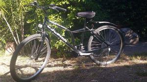 Bicicleta Mtb Dolphy