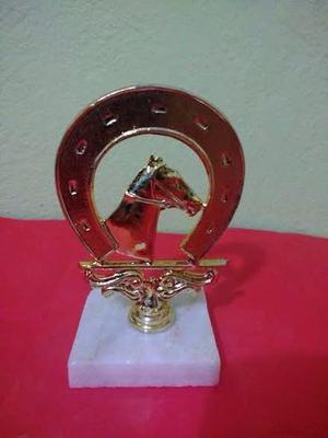 Trofeo Herradura/caballo