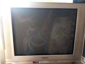 VENDO Televisor Noblex 29"