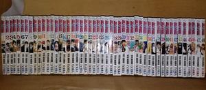 Bleach, Tomos 1-48