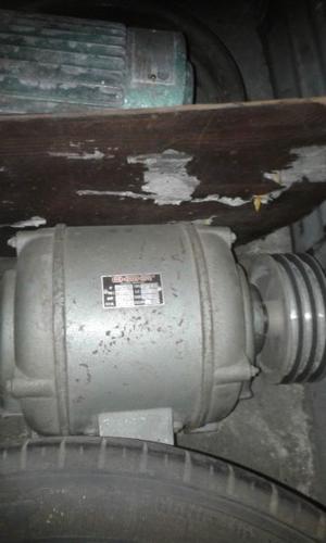 Motor trifasico 3hp  rpm