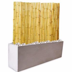 Kit Panel Caña Bambu 1,8m Tacuara Maceta Fibrocemento 100