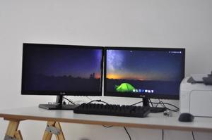 Monitores LG 19EN33 en perfecto estado