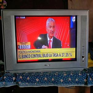 Televisor 29 pulgadas $