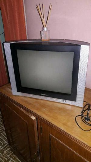 Vendo Tv 21 pulgadas.