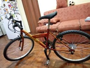 Bicicleta mountain Bike rod.24