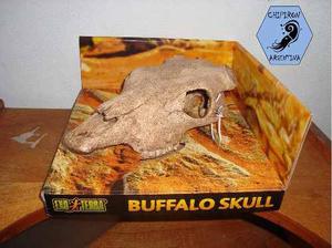 Cráneo Buffalo Skull Exo Terra!!!