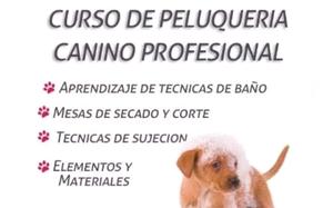 Curso de Peluqueria Canina Profesional