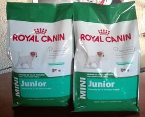 Royal Canin Mini Adulto y Mini Junior VER O F E R TA x 2 o