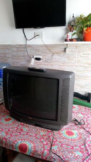 Television Sanyo grande