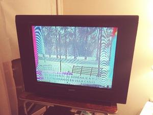 Vendo Tv 27pulg. SANYO