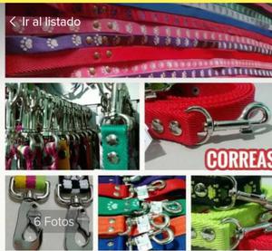 Ventas de collares para perros