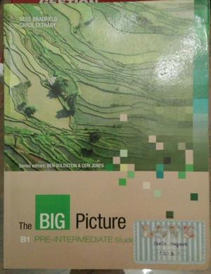Libro de inglés The Big Picture B1