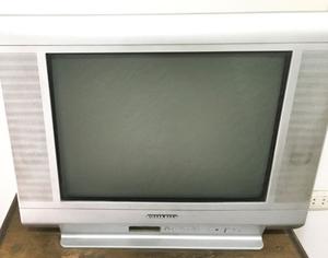 vendo tv philco 2l pulgadas pantalla plana