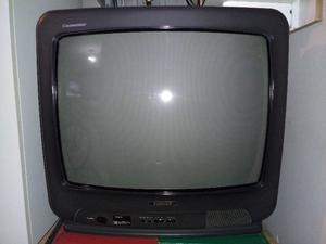 VENDO TV RANSER 21 PULGADAS