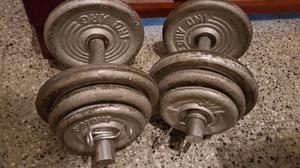 2 Mancuernas macizas y 42 kgs en discos