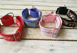 Collares martingale para galgos