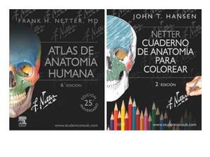 Netter - Atlas De Anatomía Humana 6° Ed + Para Colorear