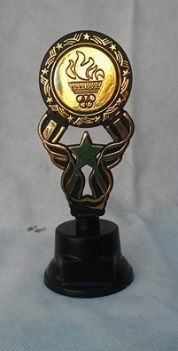 Trofeos Para Todas La Disciplinas.