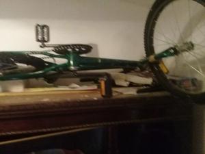 Vendo bicicleta 1