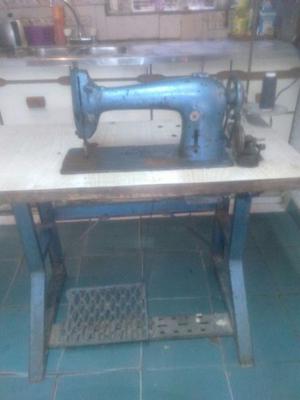 Maquina de coser recta de tapiceto