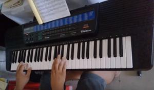 Vendo teclado Casio... Wsp 221 