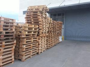 pallets arlog 1x1.20 saligna nuevos
