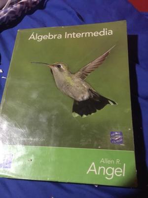 Libro Matemática Algebra Intermedia Editorial Pearson