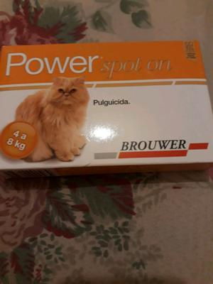 Promo! Pipeta Power gato 4-8 kg