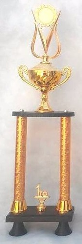 Trofeo Para Todas Las Disciplinas.