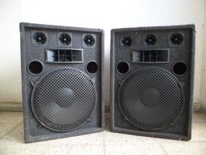 2 Bafles de 3 vías con woofer de 15'' 3 tweeters y 1 bocina