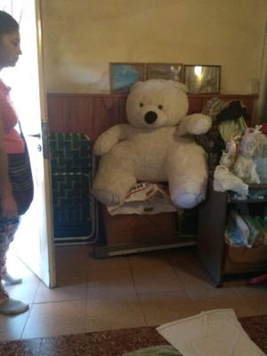 Vendo Oso peluche gigante