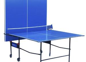 Mesa De Ping Pong Plegable Frontón Agm Profesional - Olivos