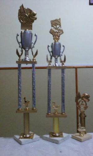 3 copas y trofeos de automovilismo y carreras de autos