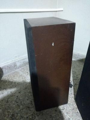 Parlantes en Caja de Madera