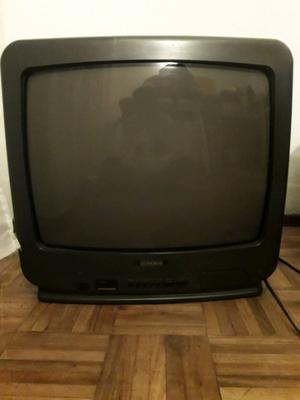 Televisor Serie Dorada 29"