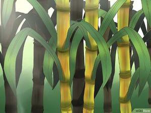 Retazos De Caña De Bambú