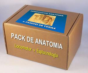Pack De Anatomía Derrochasvip: Locomotor + Esplacnogía