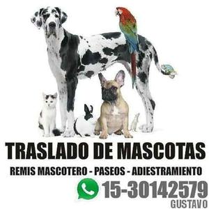 Remis Mascotero - Mini Flete - Quilmes