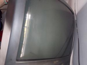 TV de tubo Sanyo y Noblex 29"