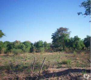 Tierras Taruy Santiago del Estero