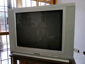 Vendo televisor Recco 29 pulgadas pantalla plana