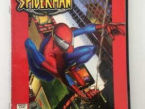 Spiderman Marvel Comic Hombre Araña