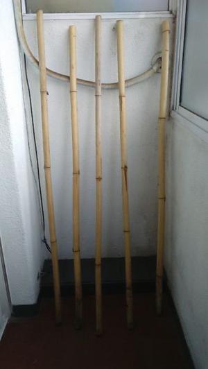 5 cañas de bambú por $200