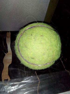 Pelota de tenis en buen estado