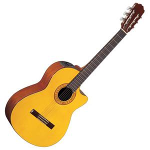 Takamine - Eg-124c - Guitarra Electroclásica - Cuotas