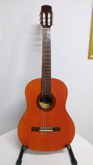 Guitarra Criolla Romántica B