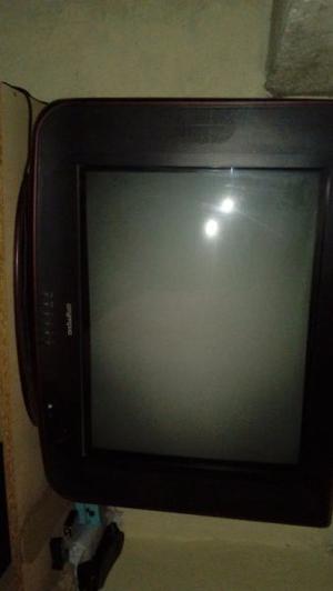 Vendo. TV 21 pulgadas